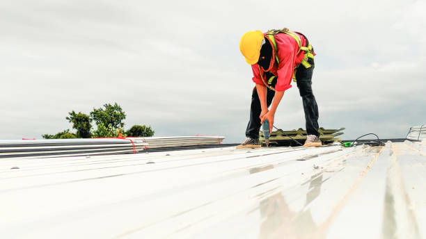 Best Sheet Metal Roofing  in USA